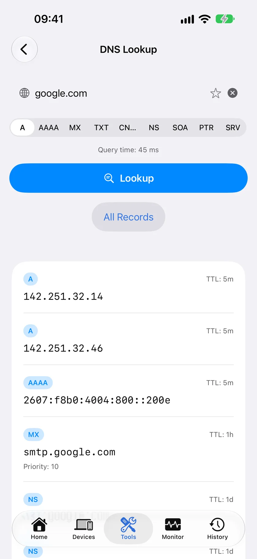 A DNS lookup in PingKit for iPhone returning A, AAAA and MX records for a domain, each with its time to live.