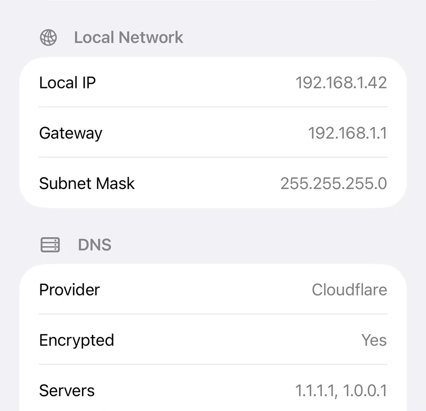 PingKit on iPhone showing the local IP, gateway and subnet mask, then the DNS resolver in use and whether the connection to it is encrypted.