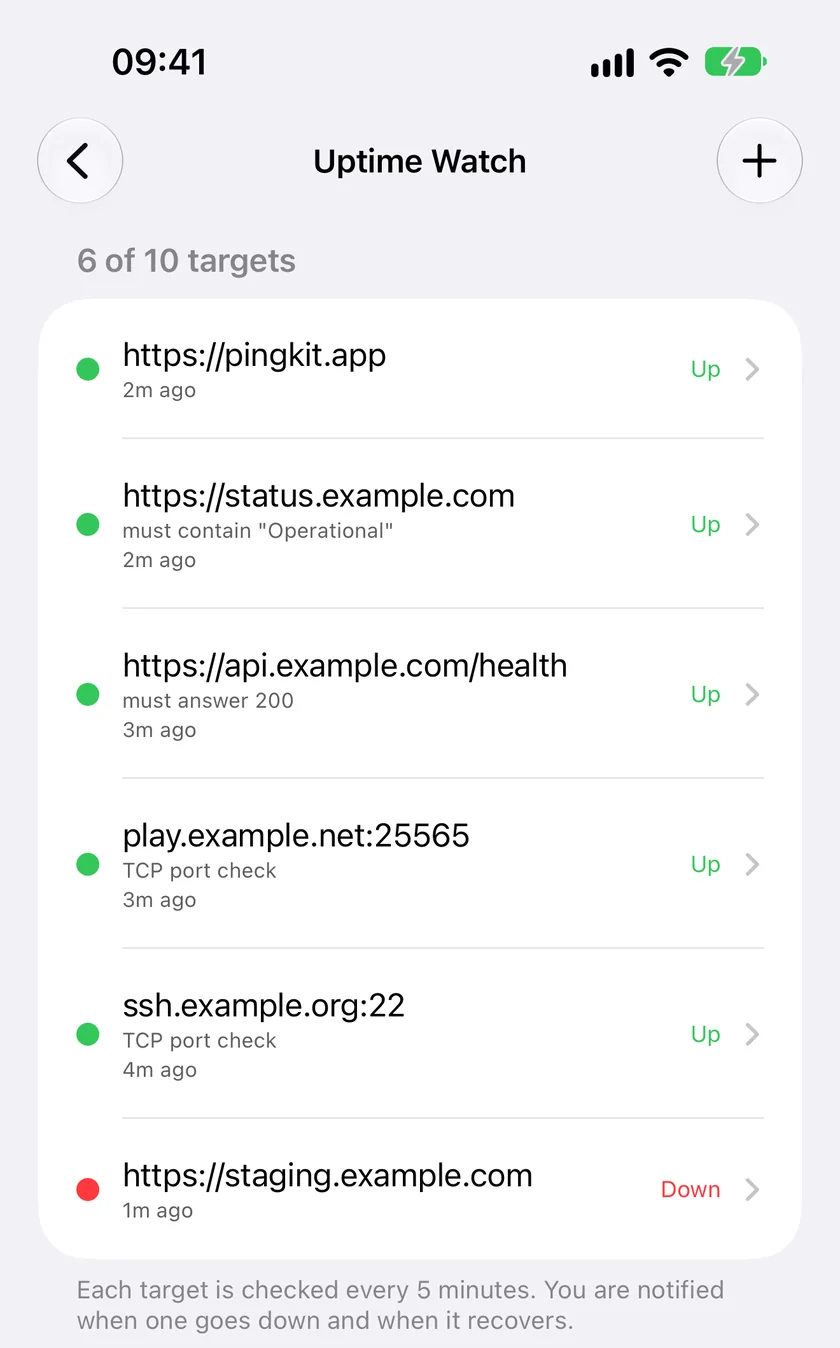 Uptime Watch in PingKit for iPhone: websites and servers checked every five minutes, including a keyword check, an expected status and TCP port checks, with one target down.