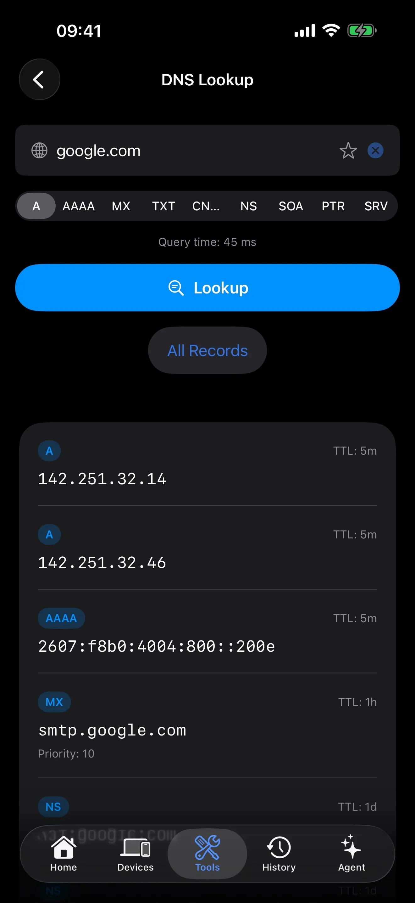 PingKit DNS lookup tool showing domain name resolution results